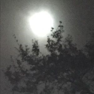 Meet your Posher, Nathan